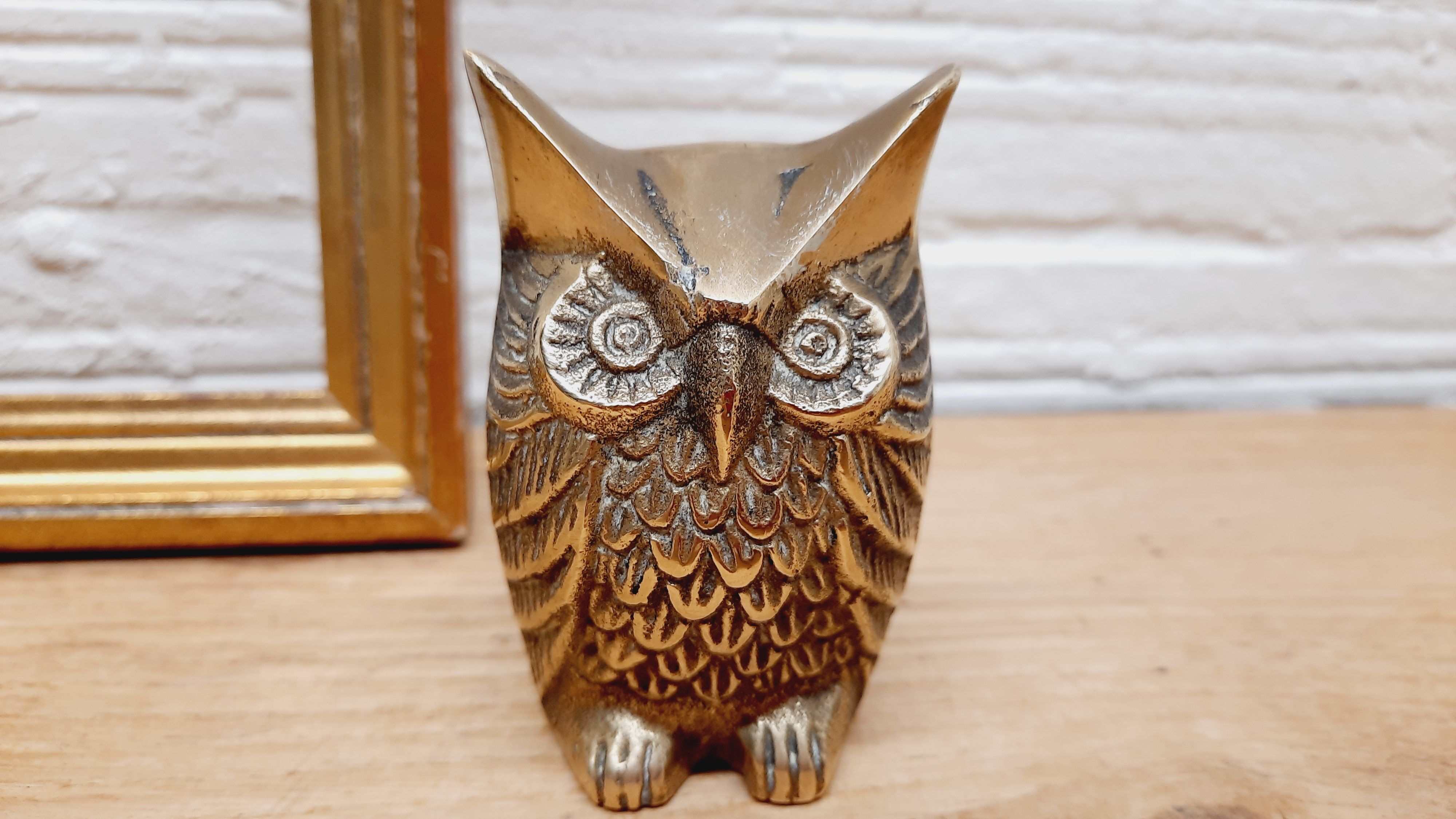 Chissed brass owl