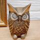 Chissed brass owl
