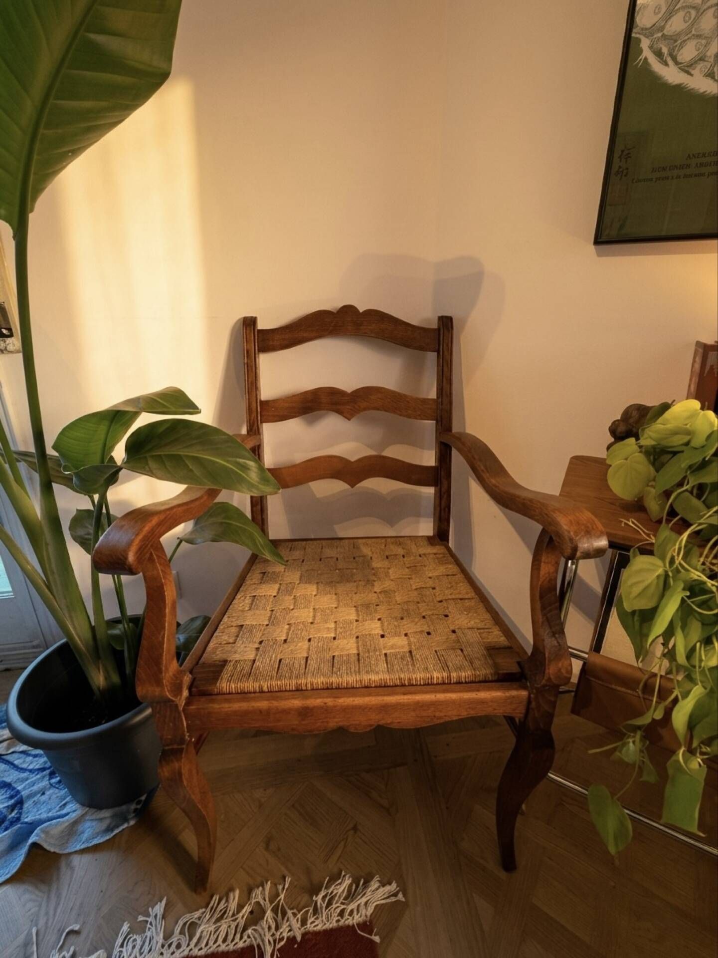 Pair of Provençal armchairs, wood and woven cord — mid-20th century