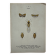 Old lithograph vintage insect