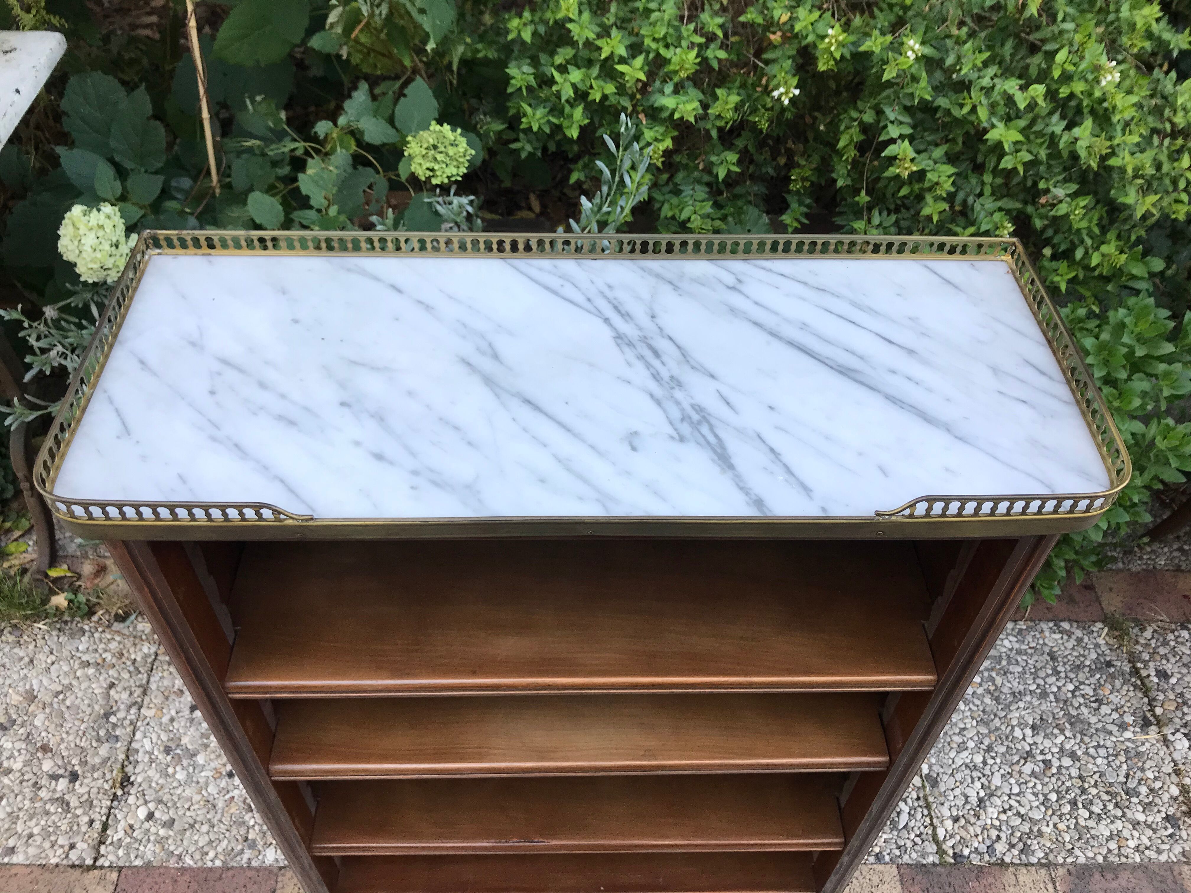 Louis XVI-style bibus library