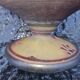 Large bowl on pedestal Daum Nancy – Lakeside landscape 1910