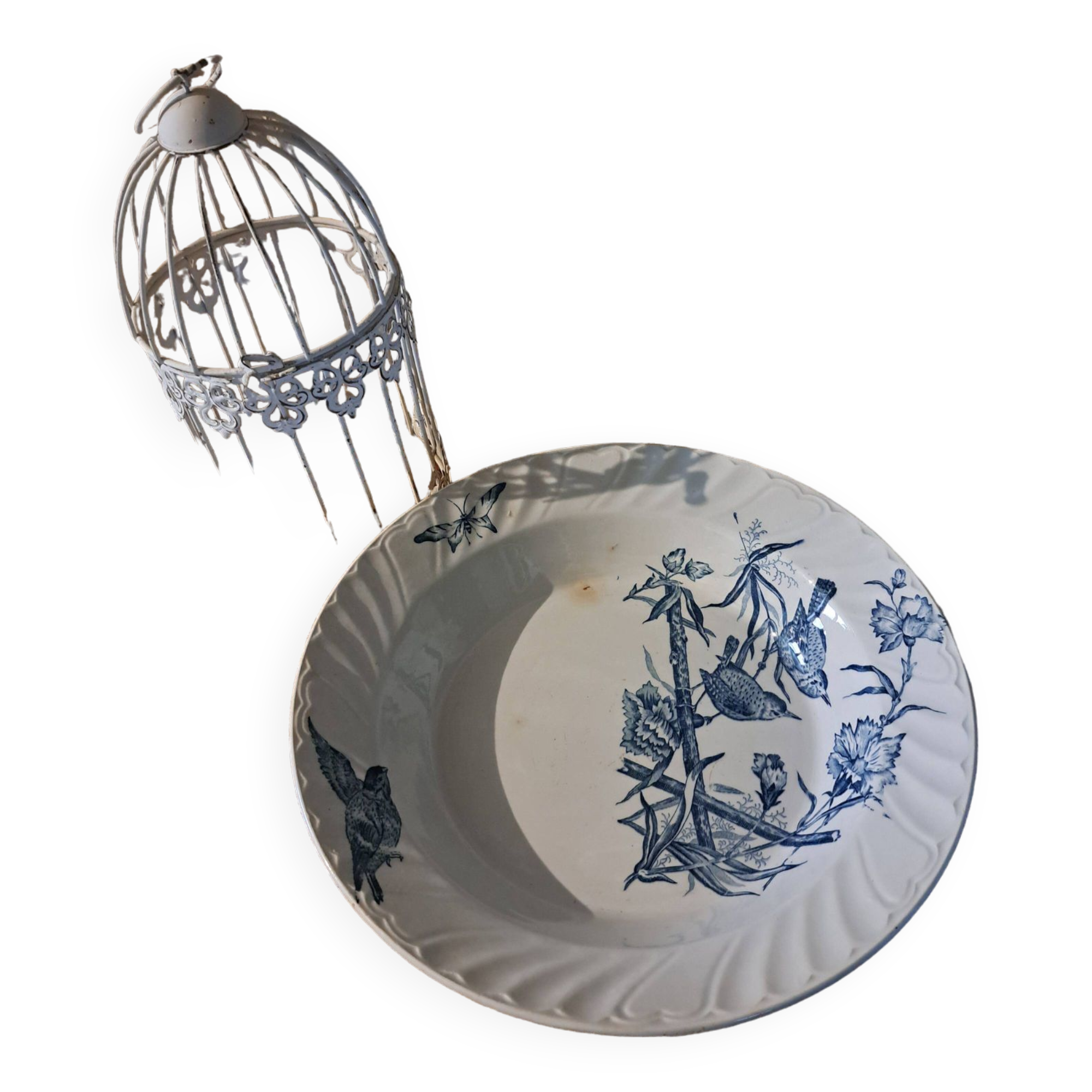 Plat rond creux Saint Amand Hamage Aucella