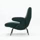 Delfino armchair by Erberto Carboni, Arflex Italy