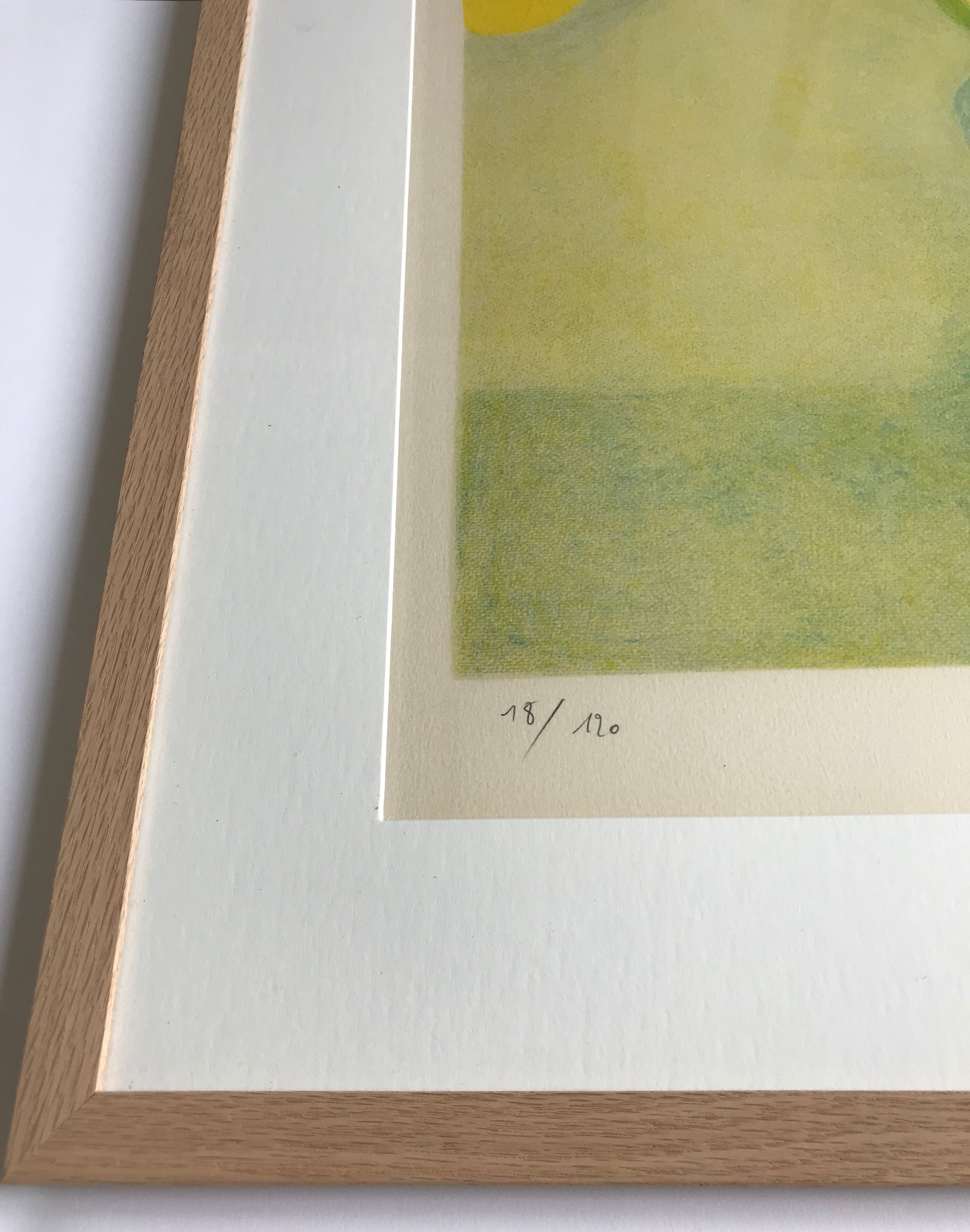 Signed and justified lithograph by pierre boncompain, untitled (tulips baroques), 1982