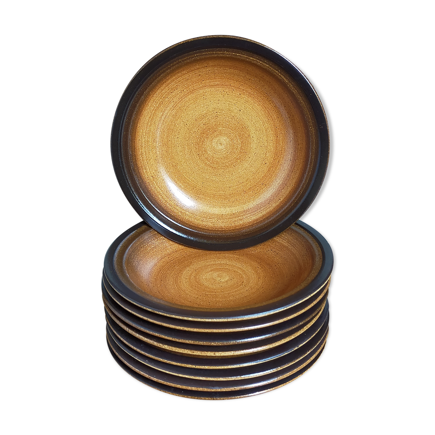 Nine hollow earthenware plates of saint-amand décor main service "meylan"vintages