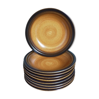 Nine hollow earthenware plates of saint-amand décor main service "meylan"vintages