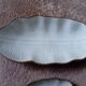 Banana leaf shaped barbotine dish and bowl