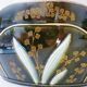 Planter, art nouveau, iris, enameled ceramic, signed Gustave De Bruyn, Fives-Lille