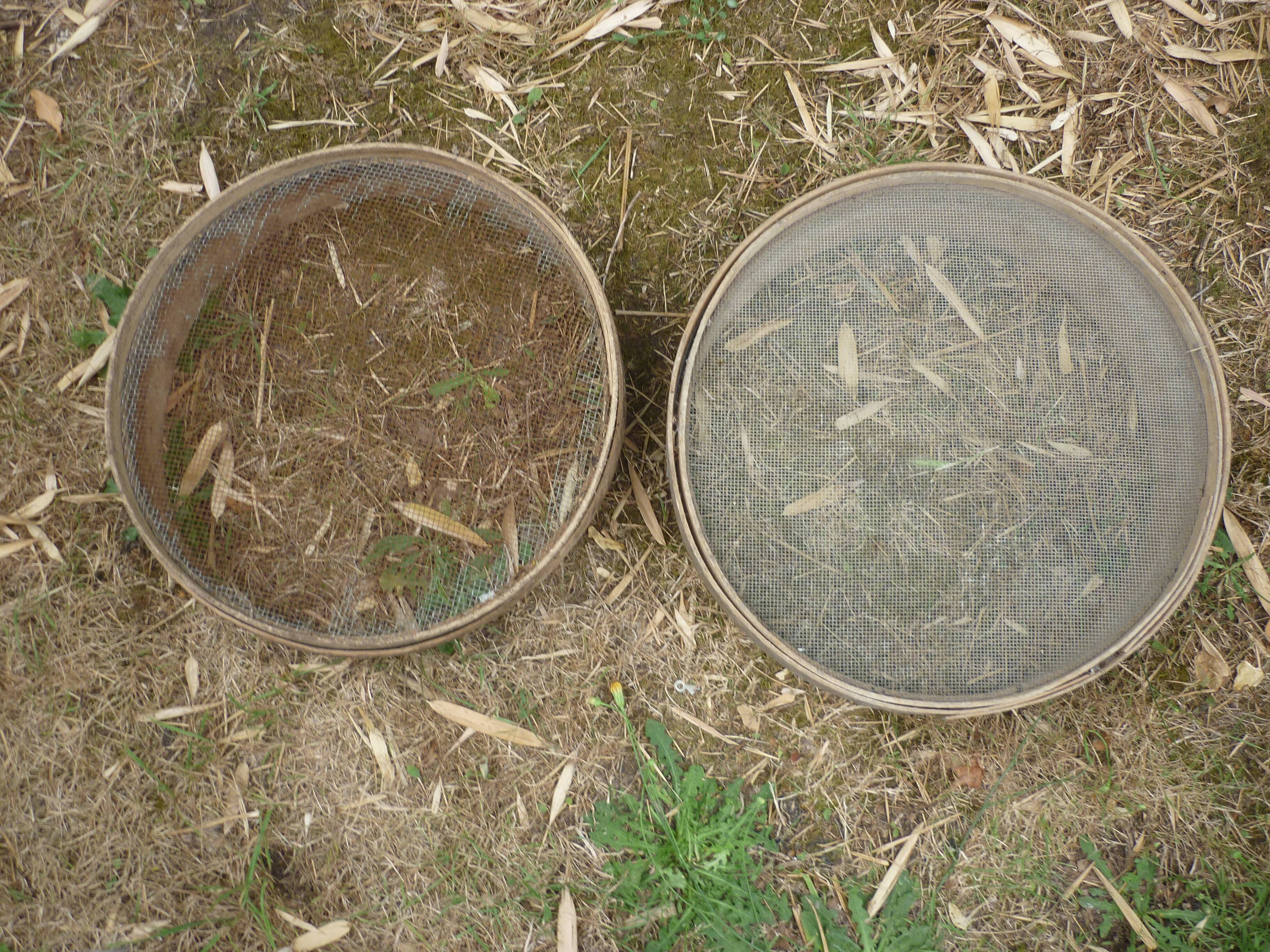 2 old wooden sieve