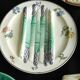 French antique asparagus plates in majolica