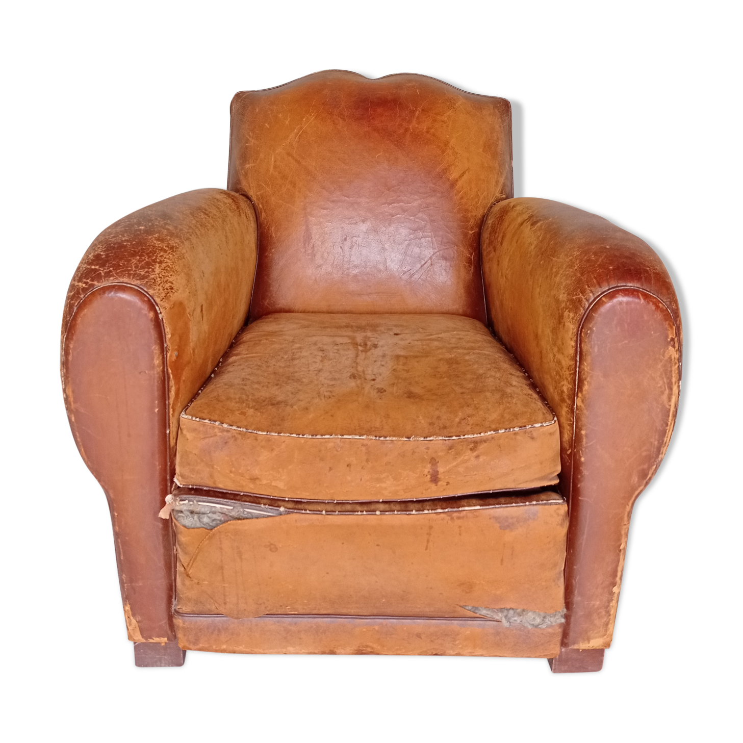Moustache club armchair