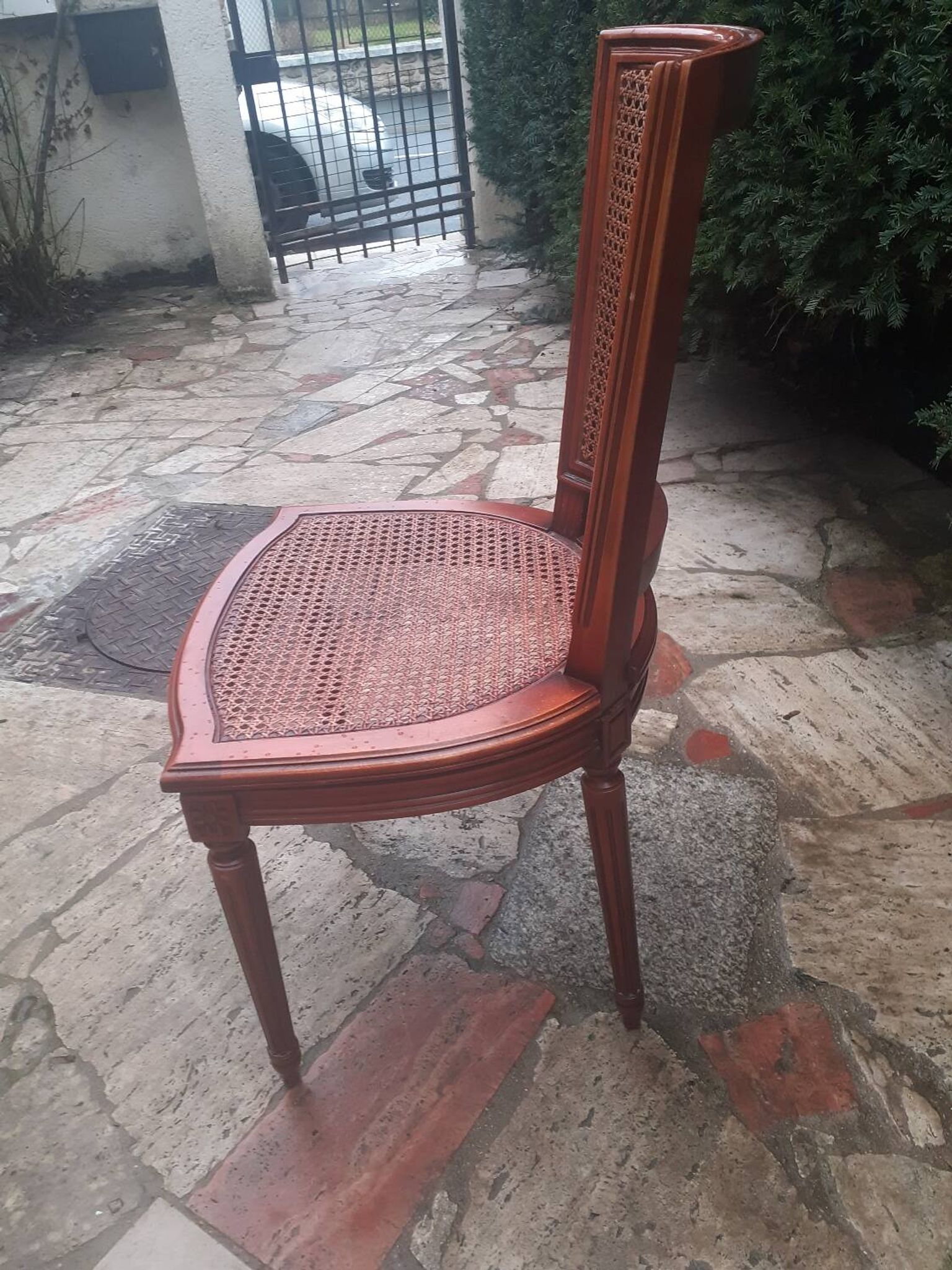 Chaise Cannes en bois sculpté style Louis XVI