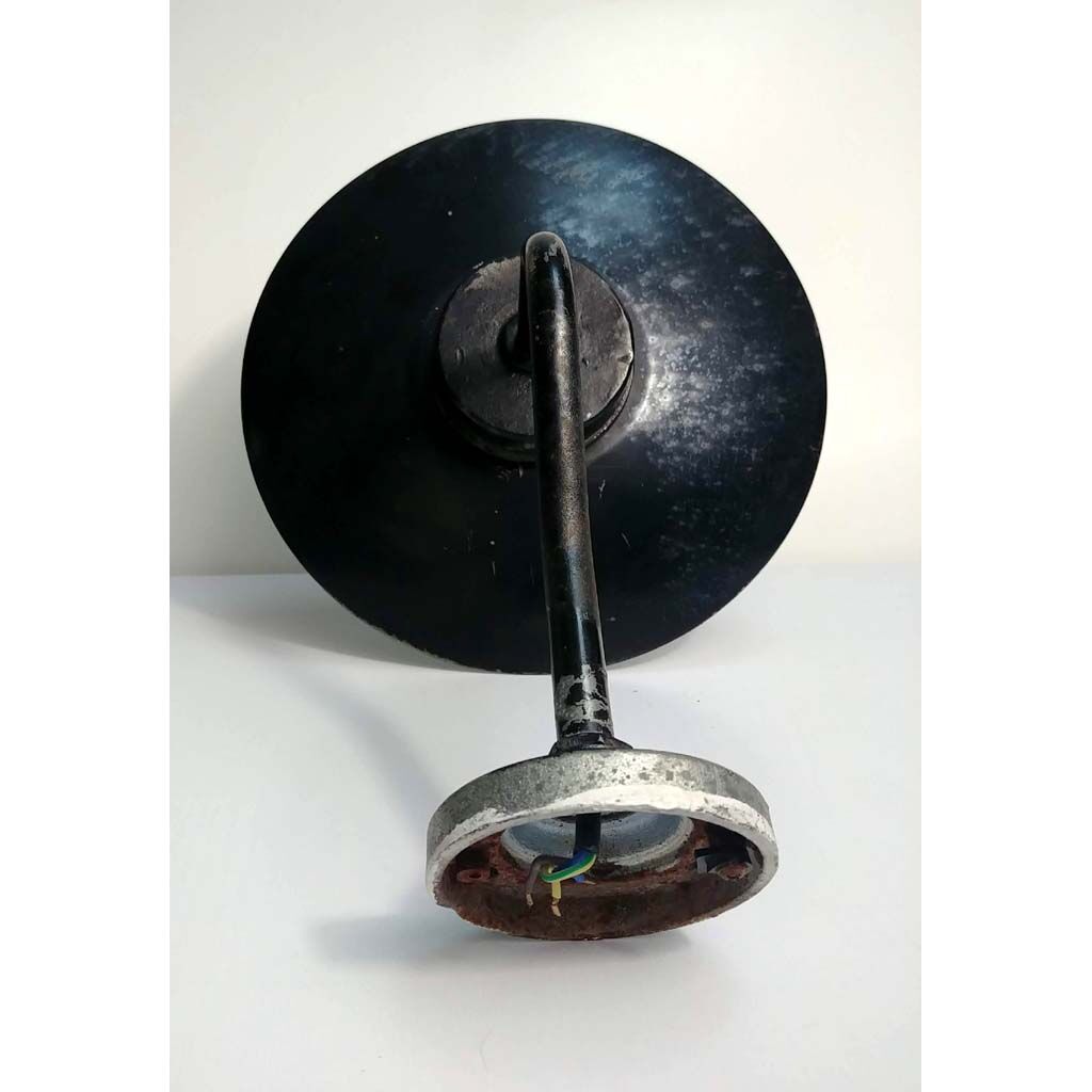 Ancient outdoor swan collar and glass globe sconce