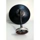 Ancient outdoor swan collar and glass globe sconce