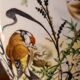 ceramic vase with birds BOHEMIA porcelain 1960 37x17 beautiful size