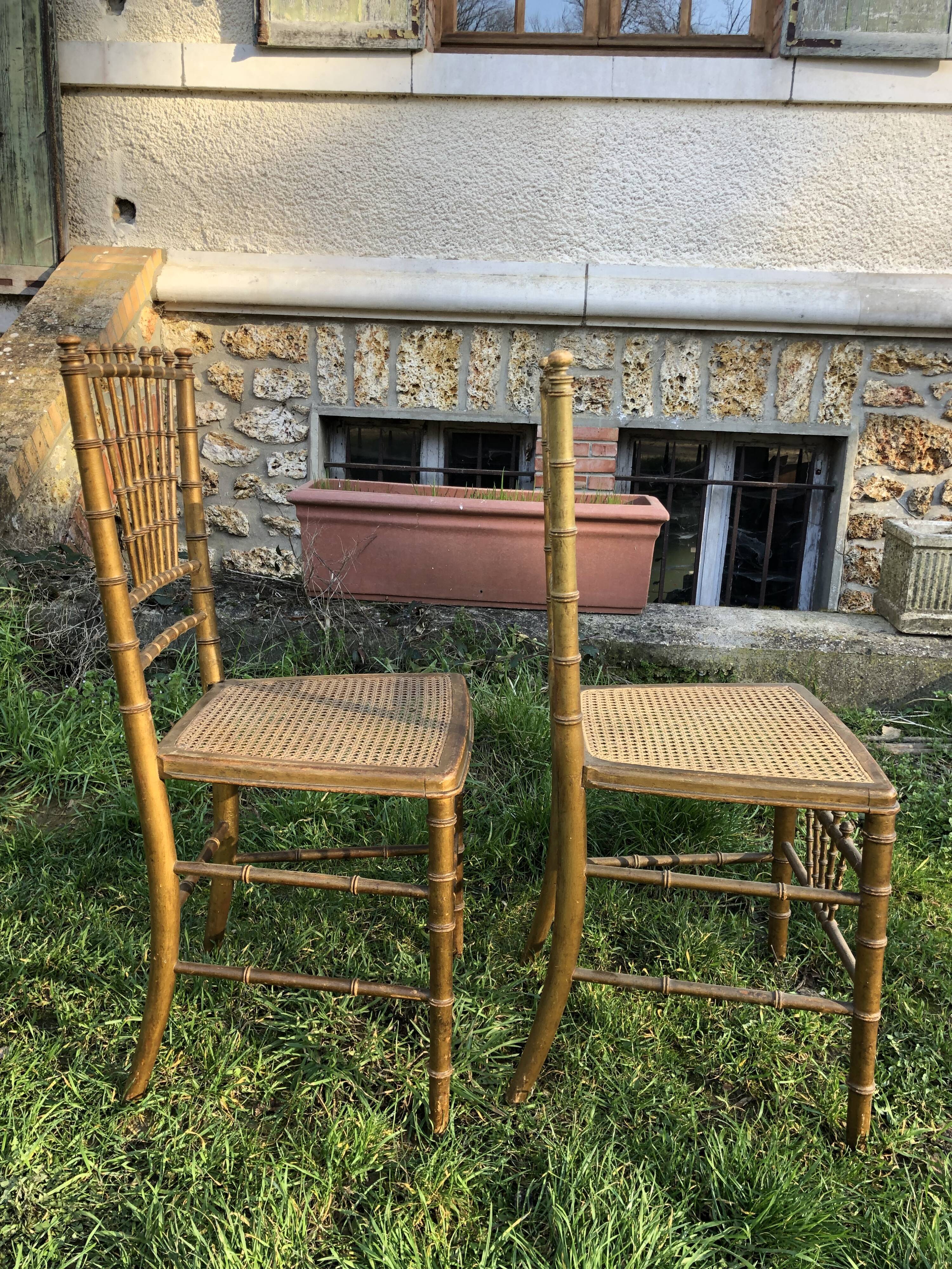 Pair of caned chairs in gilded wood