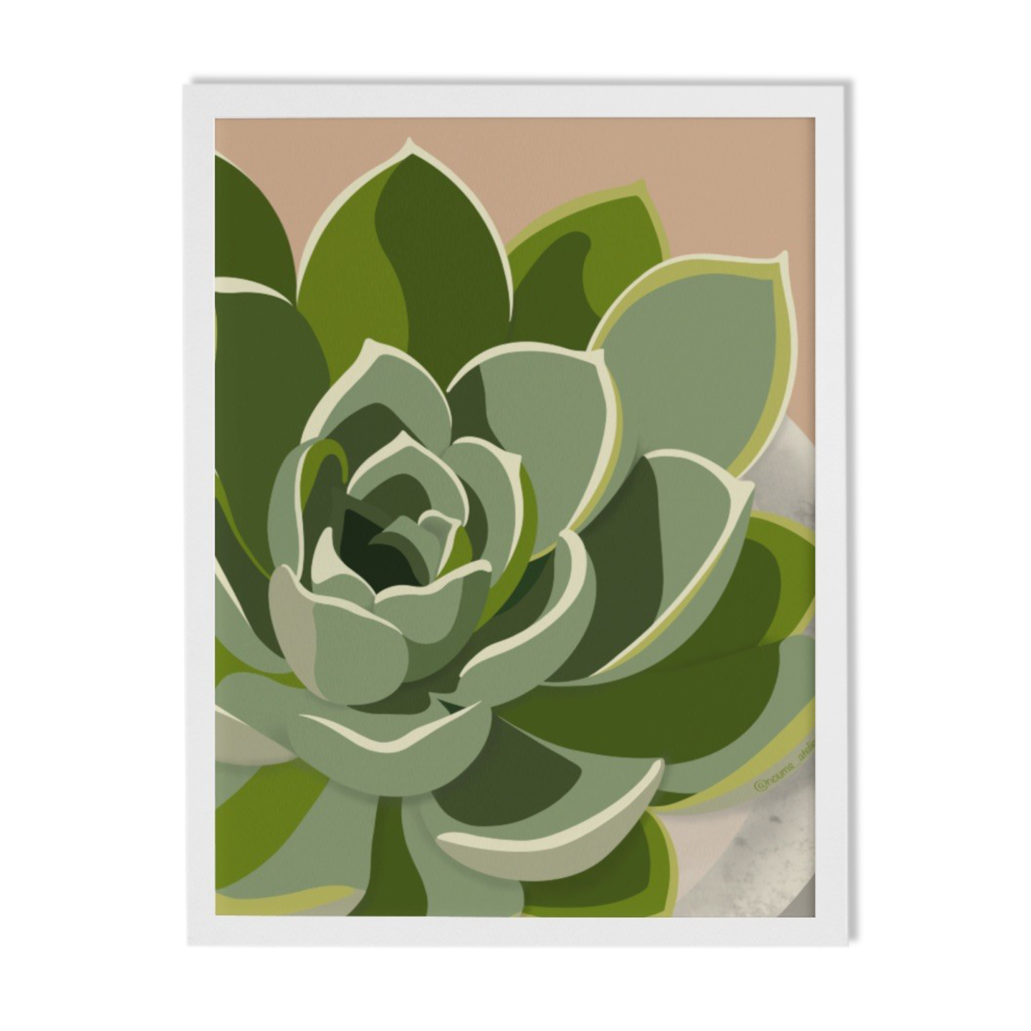 Illustration "Succulent #3" by Noums Atelier