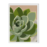 Illustration "Succulent #3" by Noums Atelier