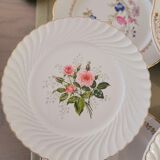 Lot de 18 assiettes plates