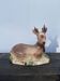 Cerf boîte céramique