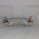 Pair of tulip sconces on inclined support 50s