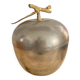 Pomme glace 70’ Freddo Therm