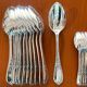 Ercuis Fontenoy 41-piece cutlery set, new condition