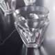Verres baccarat collection Harcourt