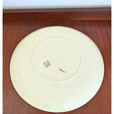 Grand plat Anemone Salins France