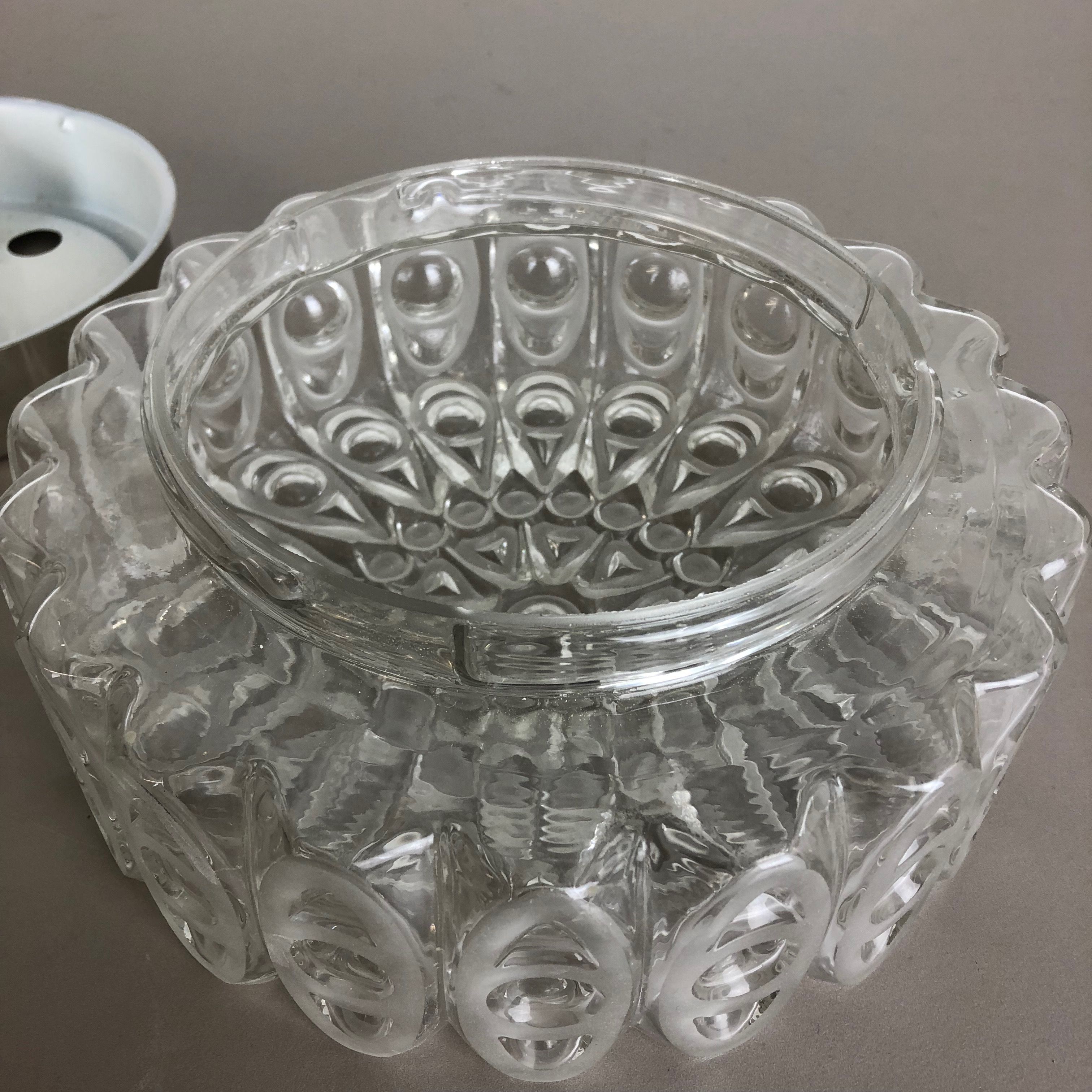 Modernist Floral Glass Wall Light Sconce Made by Hillebrand, Germany, 1970s