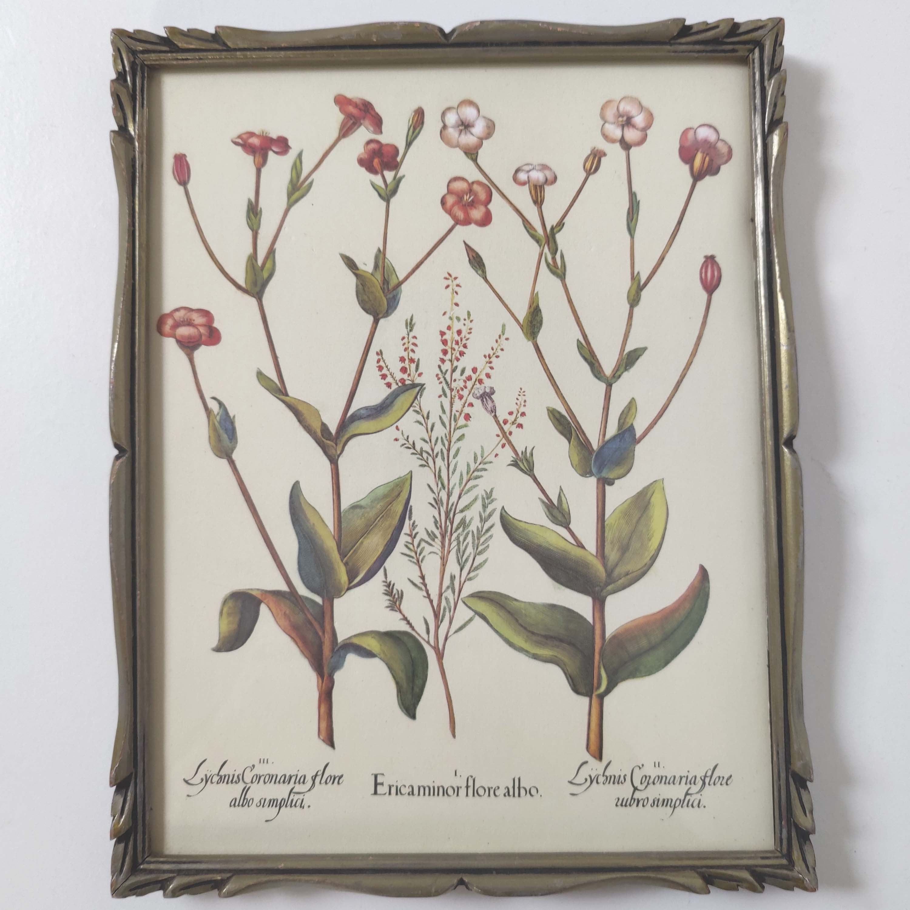 Botanical board wildflowers frame wood to pose