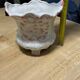 Bassano Planter