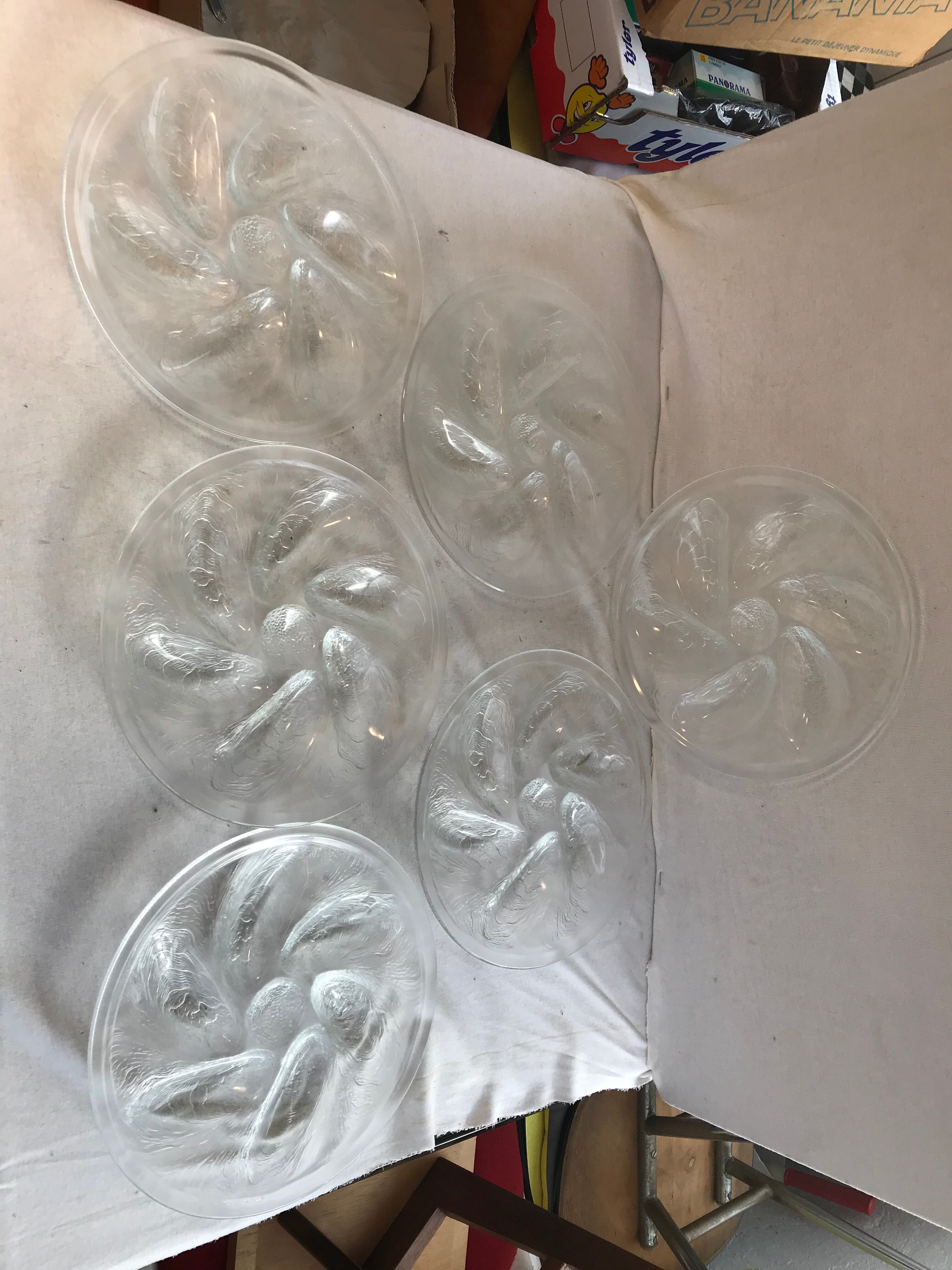 Series 6 old oyster plates Arcoroc moulded glass - vintage box