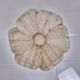 Italian "Flower" Coffee Table in Travertine With Facet-cut Round Plate, 1980s