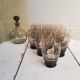 Old deco carafe art service & 12 smoked glass glasses vintage table art