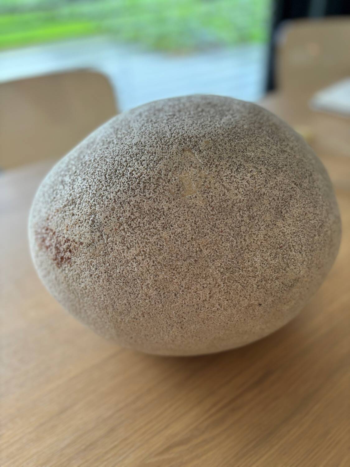 Lampe Rocher "Dora" André Cazenave