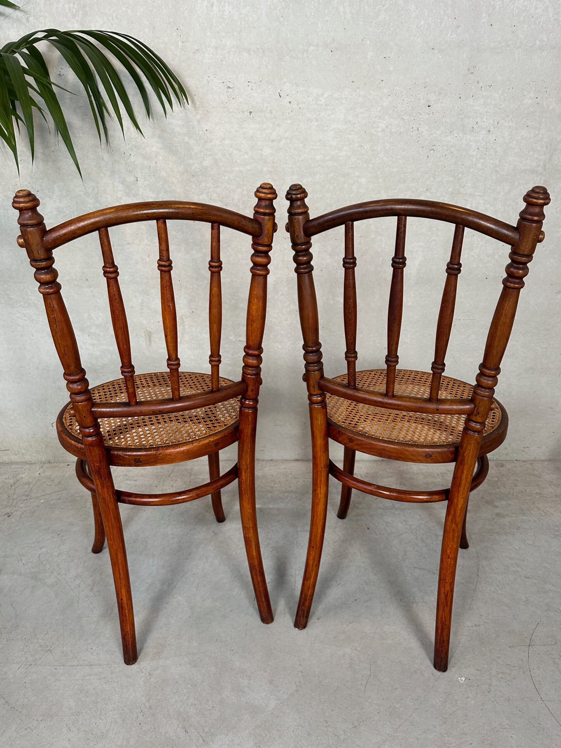 2 chaises Fischel