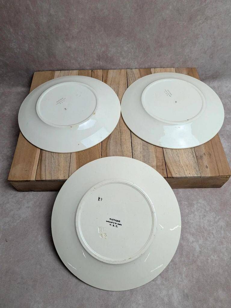 Set of 6 ironstone plates HBC – Rustic Model – Hand-painted floral design