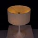Eva Renée Nele, Temde "Tulip" Lamp