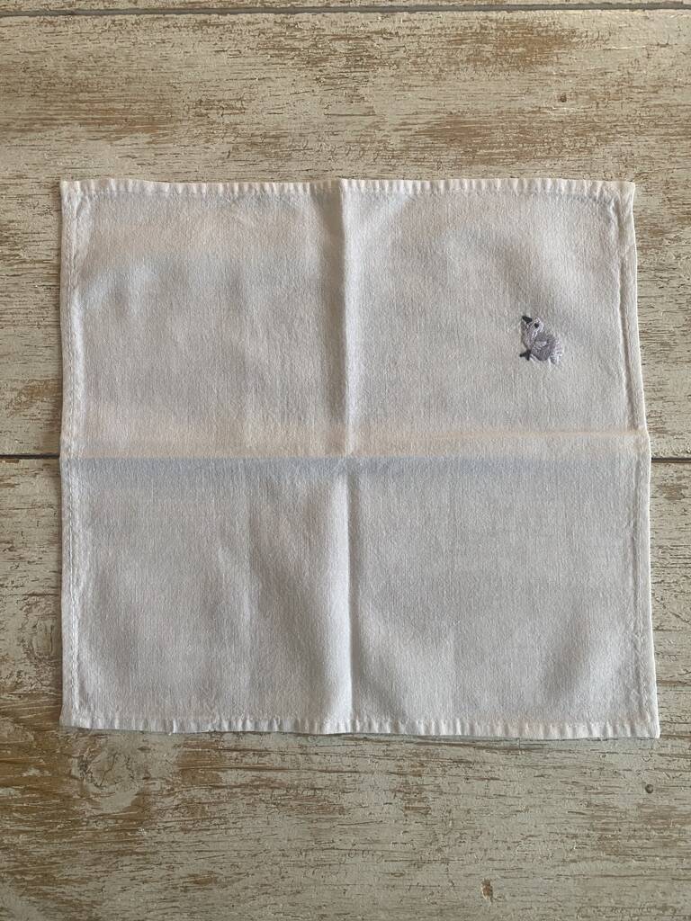 Set of 9 hand-embroidered aperitif napkins - 25x25cm - cotton
