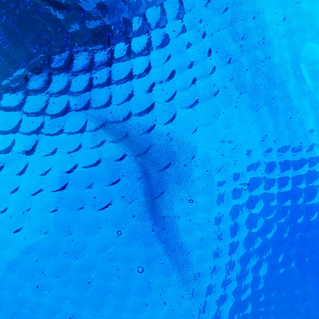 Blue fish dish