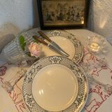 Set of 2 Mason's ironstone dinner plates