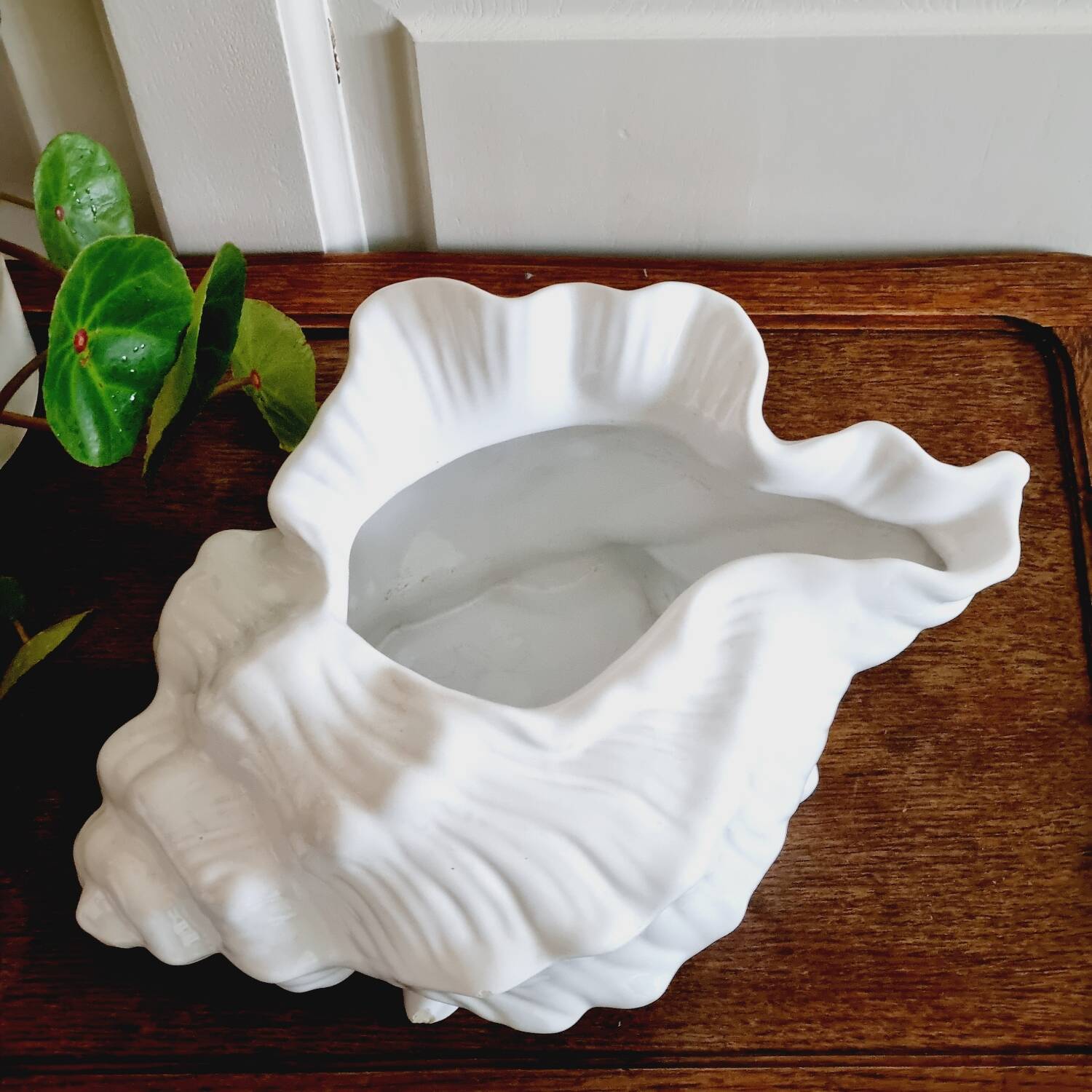 White slip shell pot cover