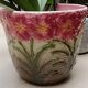 Slip pot cover Saint Amand