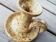 Speckled sandstone candlestick
