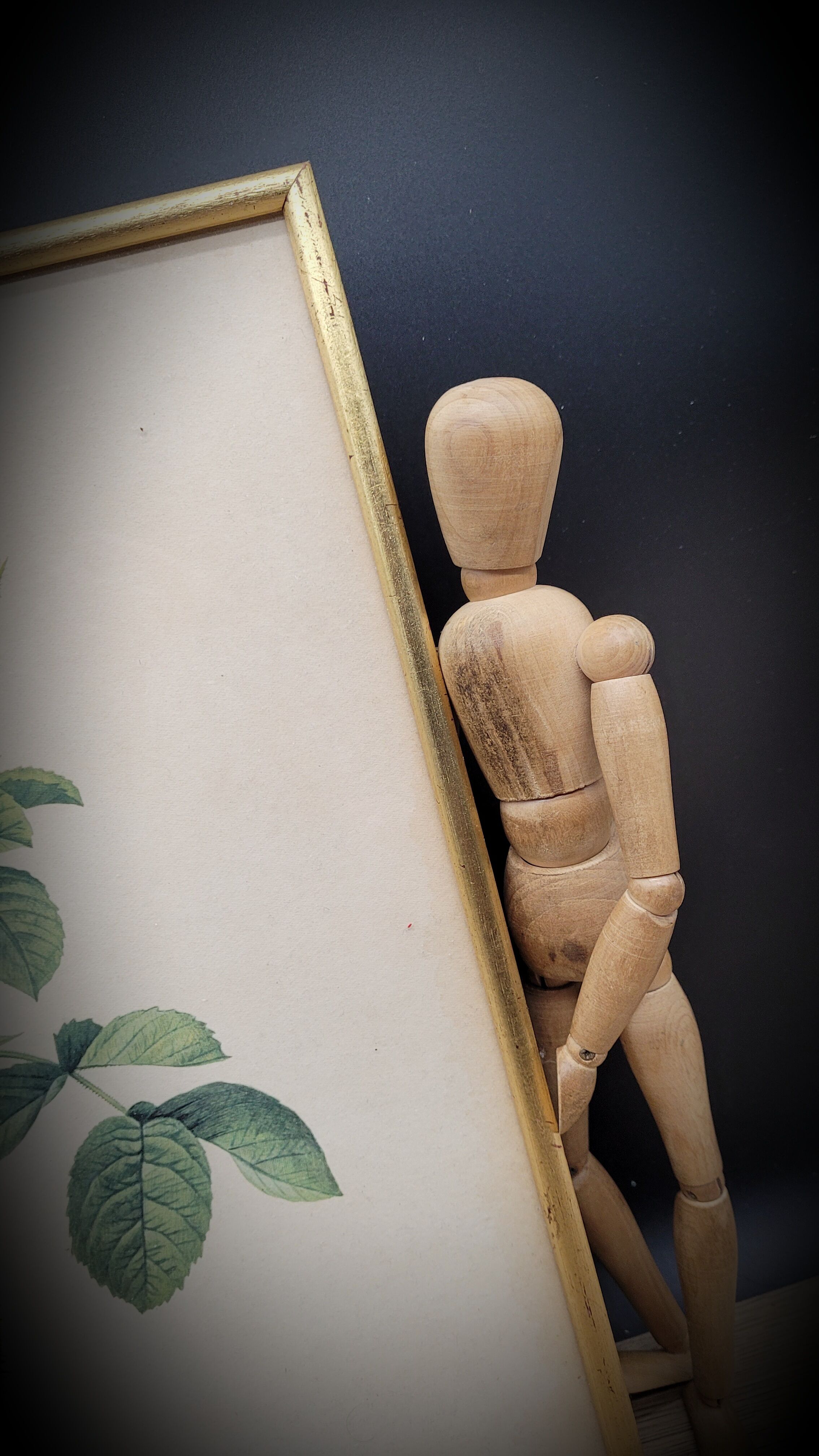 Litho frame sparkling rose with double flowers