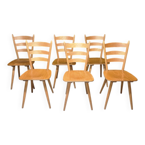 lot 6 chaises Campagnard