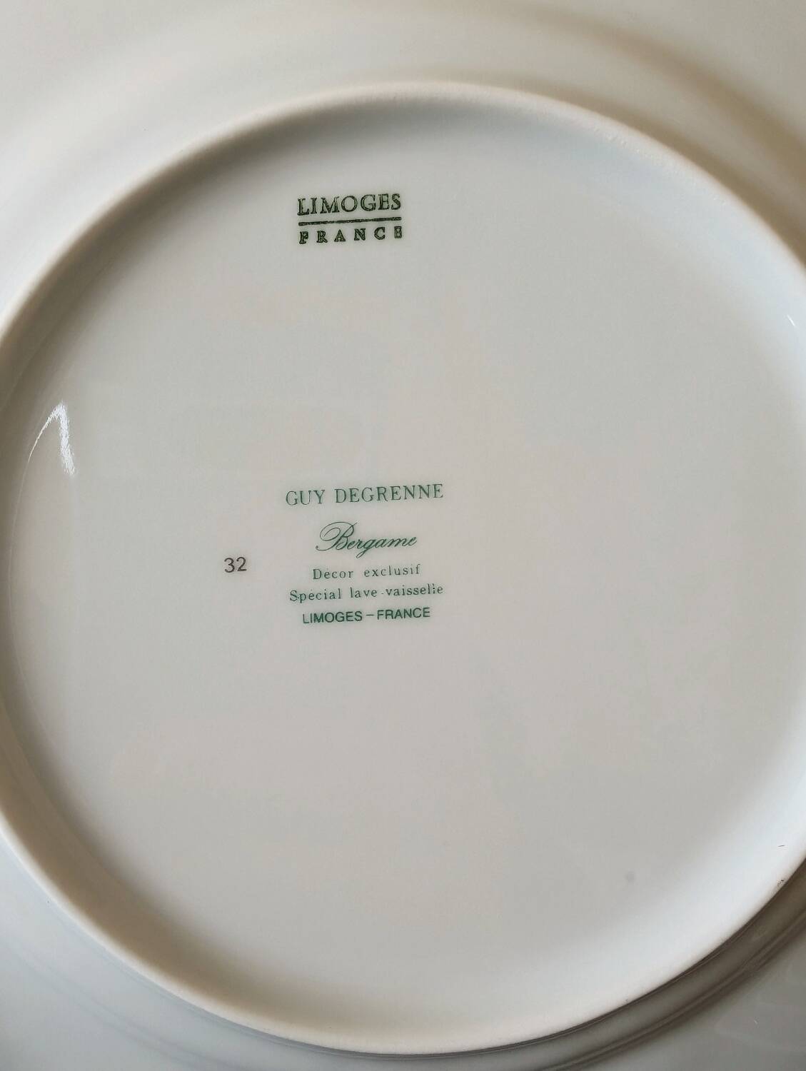 12 assiettes Guy Degrenne