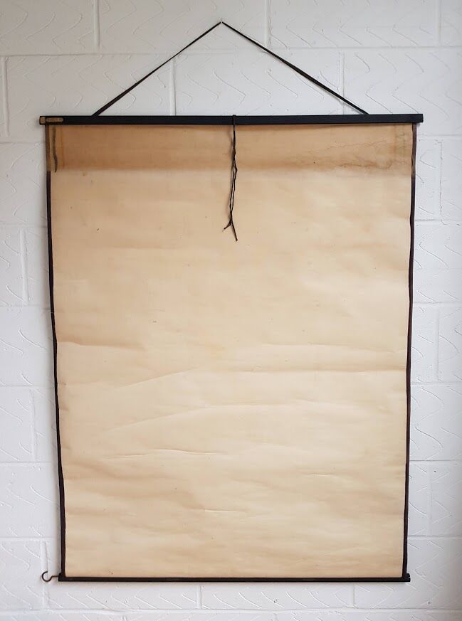 Vintage school poster by Paul Sougy - Selaginella, 1959